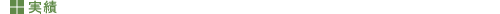 実績